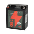 LB12A-4 12v 12Ah Gel Battery